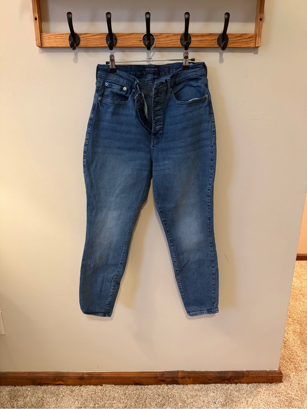 ✨ Lucky Brand Bridgette High Rise Skinny Ankle Jeans Size 12/31 ✨